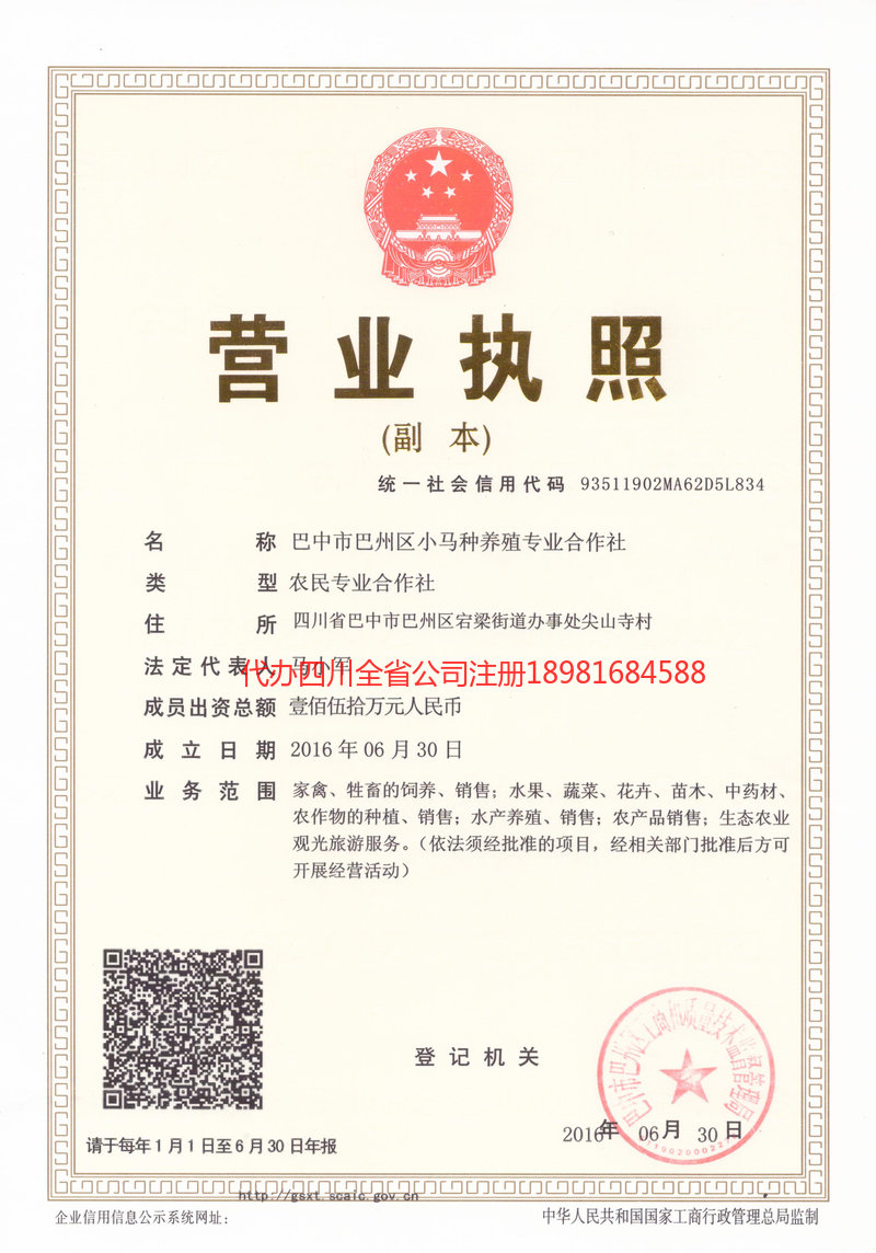 恩阳恩阳小马种养殖专业合作社